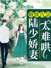 婚情告急：陆少娇妻太难哄封面