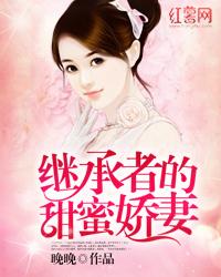 容少新妻野又撩封面