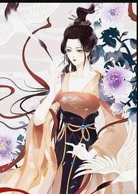 神医毒妃权倾天下封面