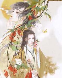 柳愿轩辕翼封面