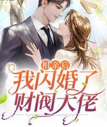 相亲后我闪婚了财阀大佬封面