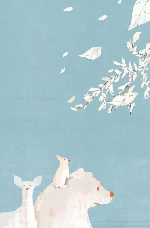 现言文苏芷肖庭君封面