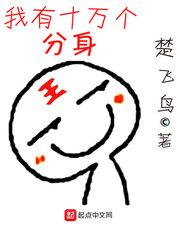 陆清姜莹小说封面