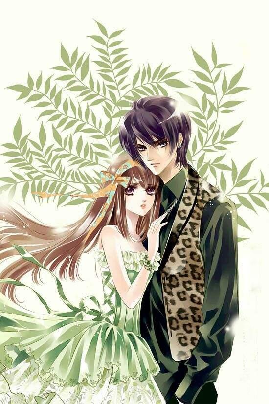 离婚后,霸总哭唧唧追妻初之心盛霆烨封面