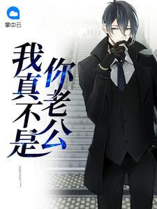 洛笙薄景砚封面