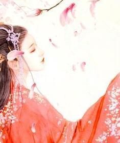 神医小毒后小说封面