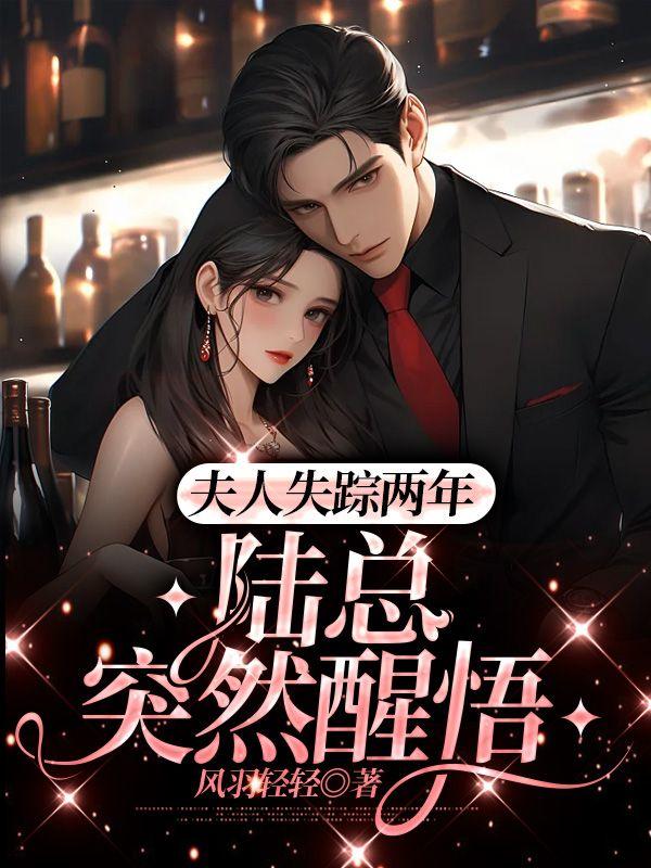 陆泽乔熏的小说免费阅读105封面