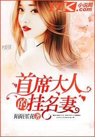 首席大人的挂名妻封面