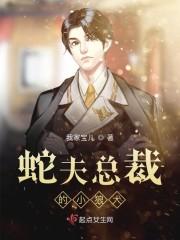 云聆段言安独家完结封面