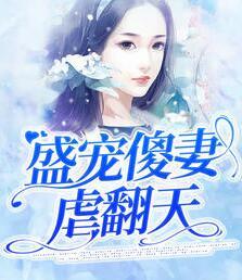盛宠傻妻虐翻天封面