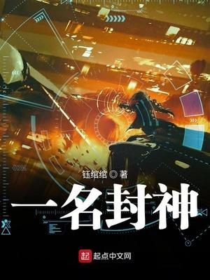 女神贴身村医文集封面