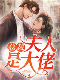 白苓傅琛大结局封面