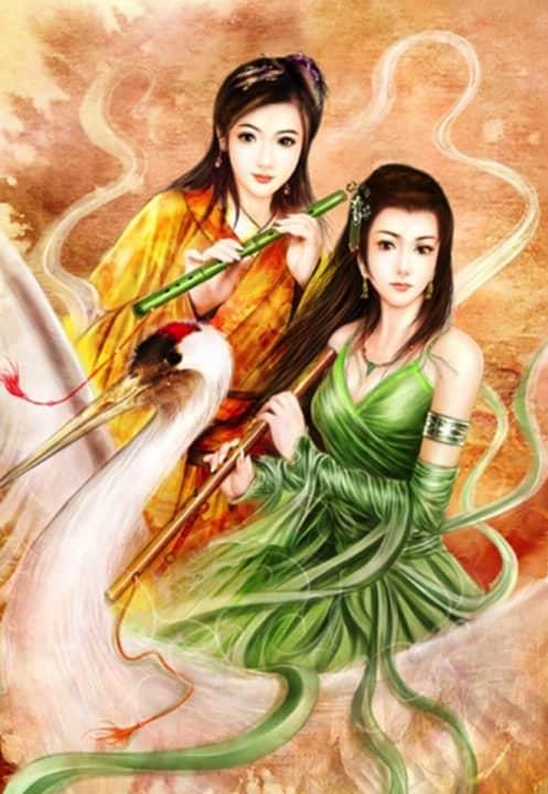 婆婆车祸身亡，律师老公却为肇事初恋辩护封面