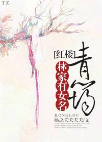 主角是江景沉宋穆封面