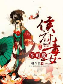 惹不起废婿汶河西流封面