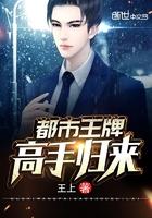 李子恒姜婉小说封面