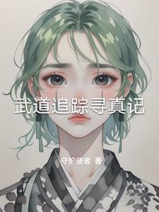 武道追踪寻真记封面