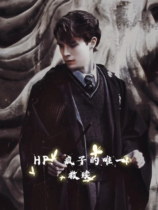 HP：疯子的唯一救赎封面