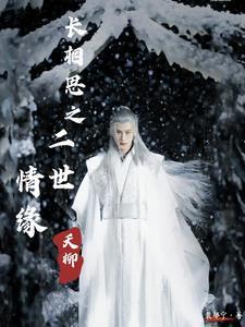 长相思之二世情缘封面