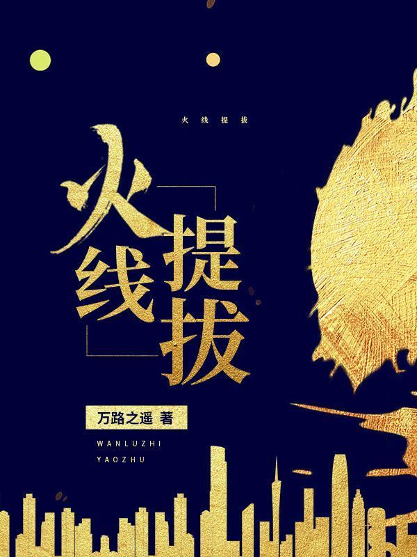 破局：纪委书记封面