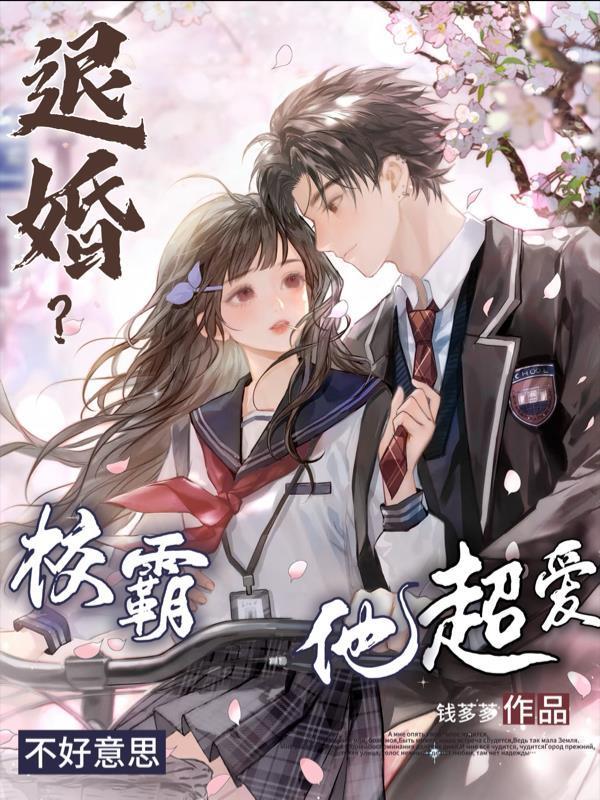 退婚？不好意思，校霸他超爱封面