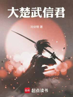 大楚武信君封面