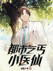 都市乞丐小医仙封面