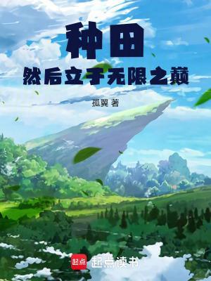 种田然后立于无限之巅封面