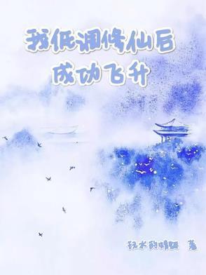 我低调修仙后成功飞升封面