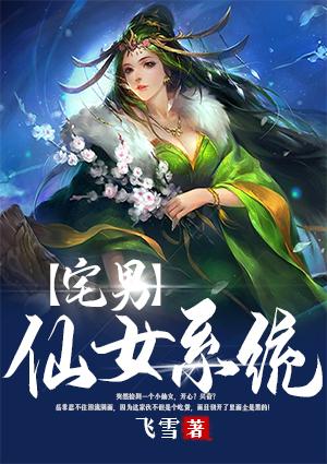 家养小仙女岳非封面