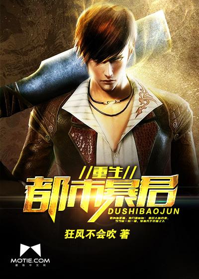 分裂自我小说封面