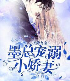 喻小妍墨景宸封面