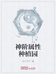 罗峰顾雪念小说免费阅读封面