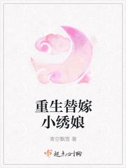 重生替嫁小绣娘封面