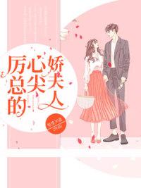 厉景深和沈知初夏明月封面