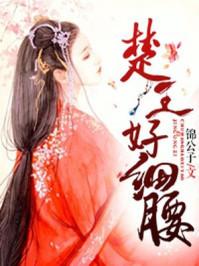 楚王好细腰封面