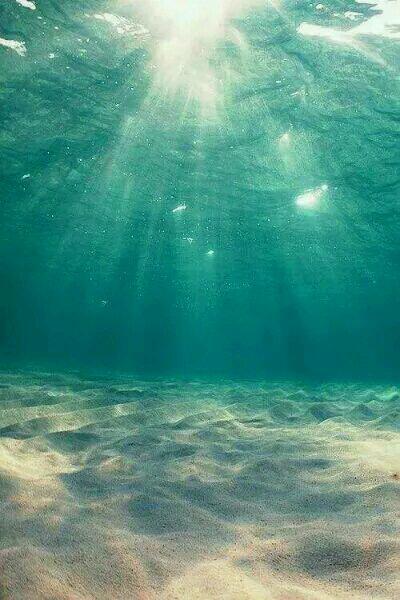 最佳狂婿林羽封面