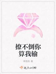 当爸的日子封面