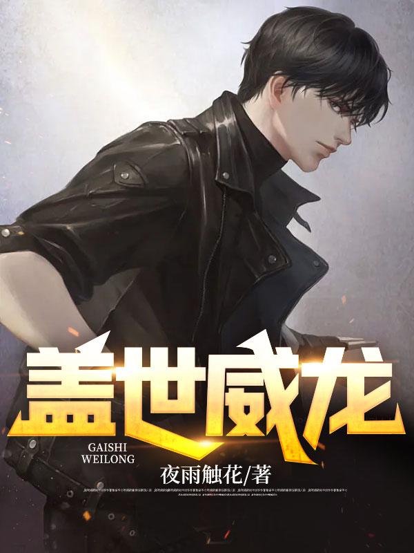 盖世威龙封面