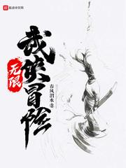无限武侠冒险封面