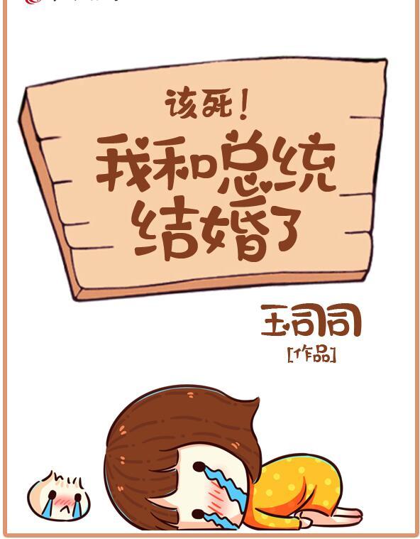 我和总统结婚了封面