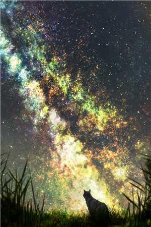 阮景和路南辞的小说免费阅读封面