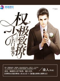 名门盛宠：权少极致撩封面