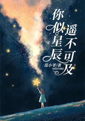 你似星辰遥不可及封面