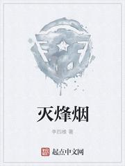 郑允诗陆非宁小说封面