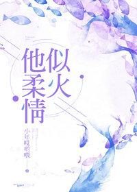 苏南栀薄忱衍小说封面