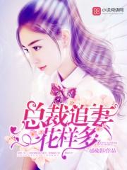 陆白飞校园文封面