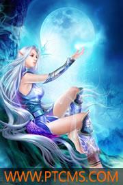 陆白飞爆款封面