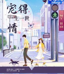 宠得一生一世情小说封面