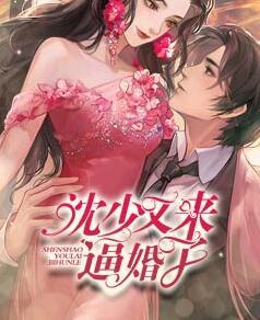 沈少又来逼婚了封面